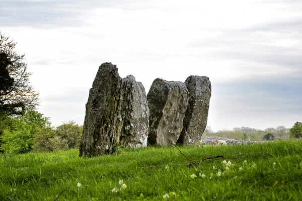 Glebe Stone Circle