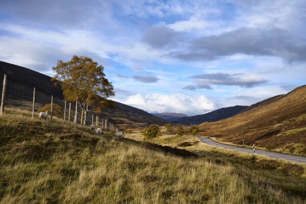 Glen Clunie