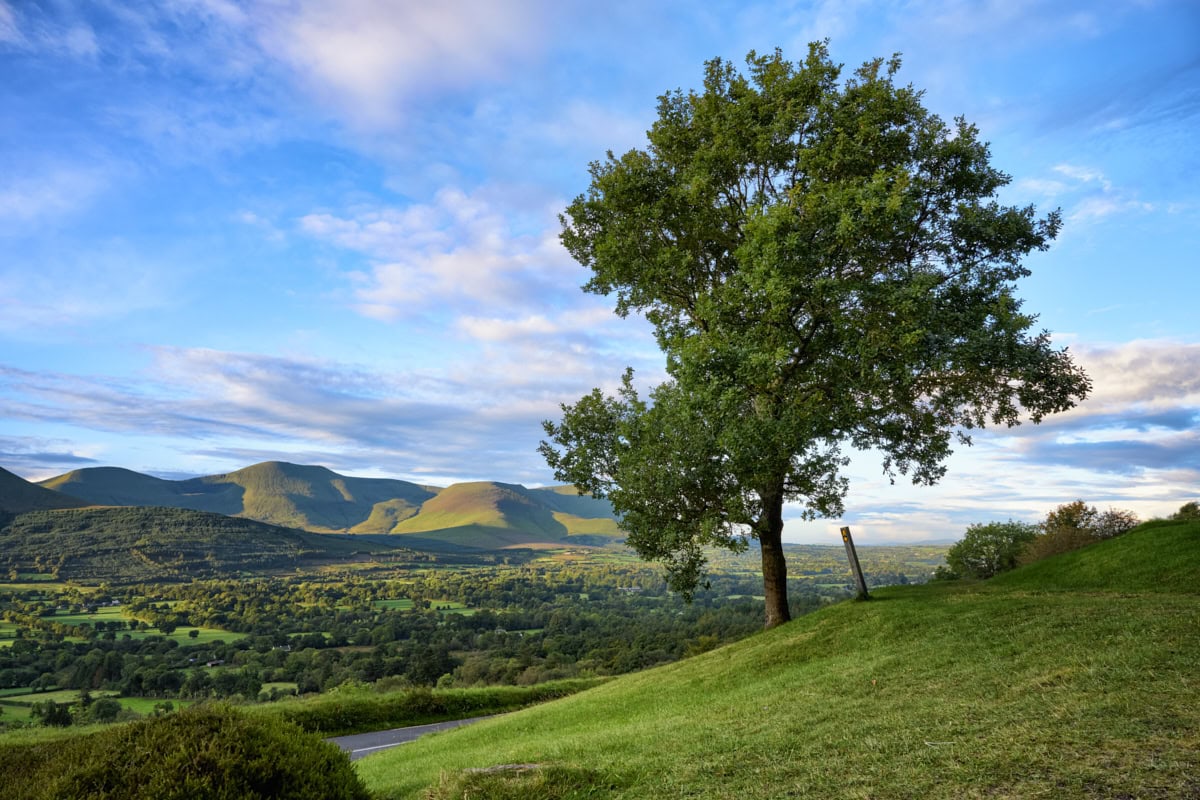 Glen of Aherlow
