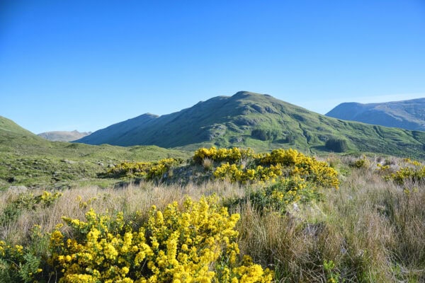 Glen Shiel