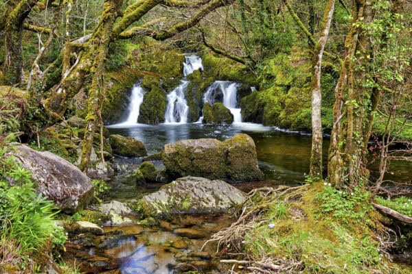 Glengarriff Nature Reserve