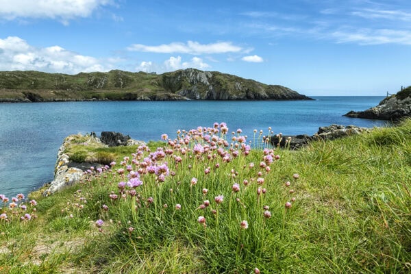 Horseshoe Bay Sherkin