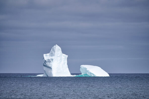 Iceberg