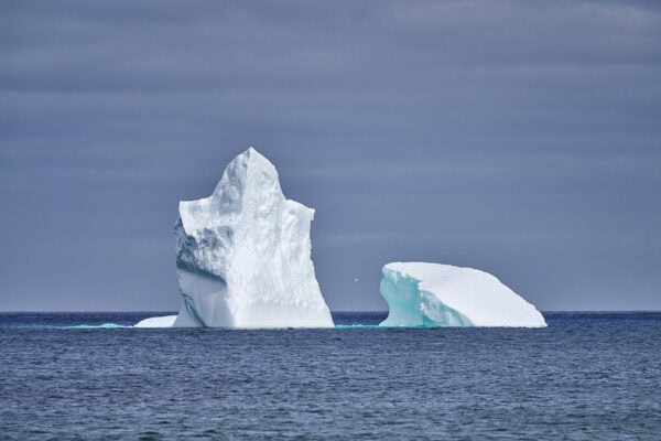 Iceberg
