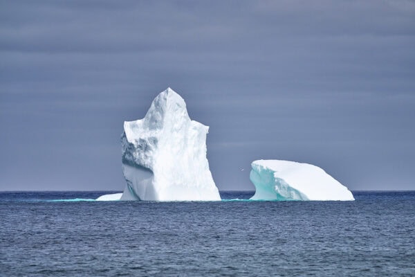 Iceberg