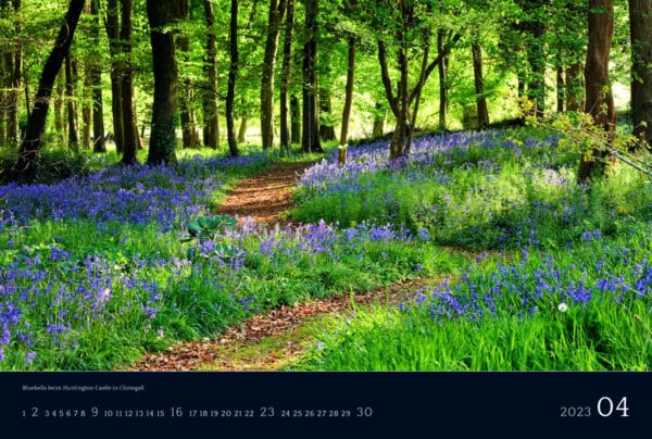 Irlandkalender 2023
