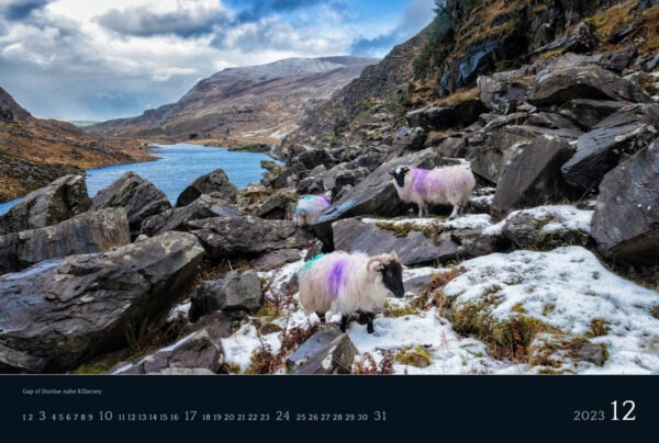 Irlandkalender 2023