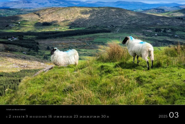 Irlandkalender 2025