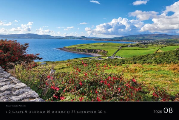 Irlandkalender 2026 - August