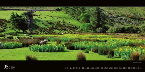 Ireland 2011 Calendar