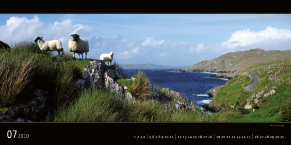 Ireland 2011 Calendar