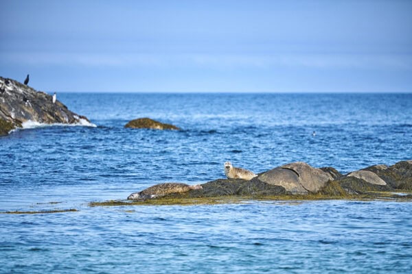 Kejimkujik National Park