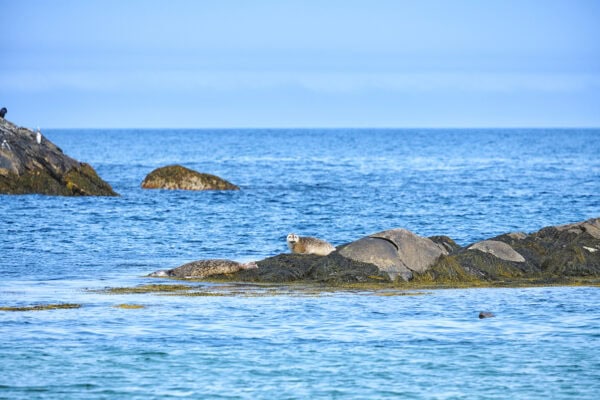 Kejimkujik National Park