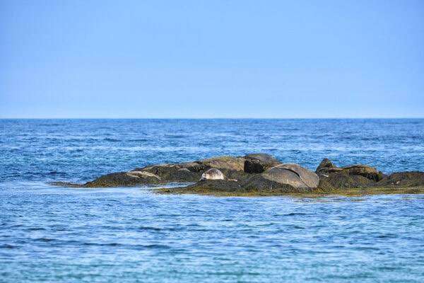 Kejimkujik National Park