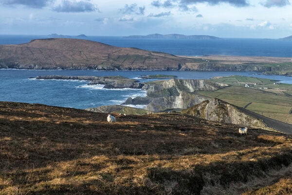 Kerry Cliffs
