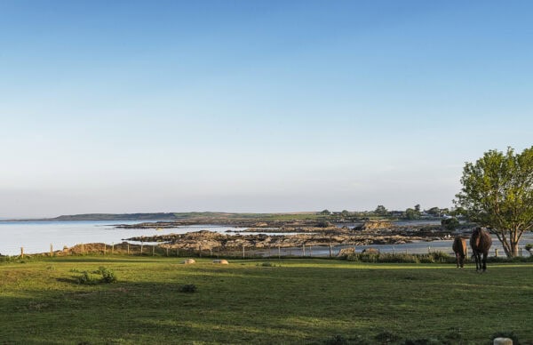 Killard National Nature Reserve