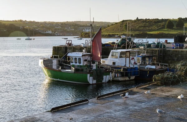 Kinsale Harbour