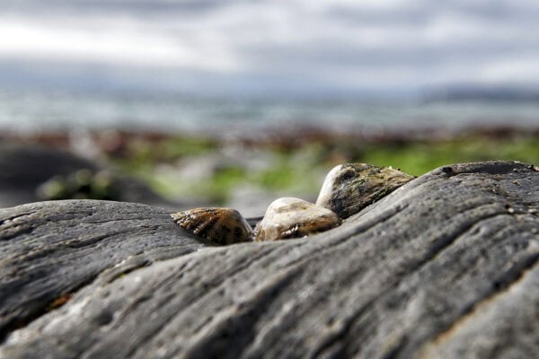 Lackenduff Bay Beach