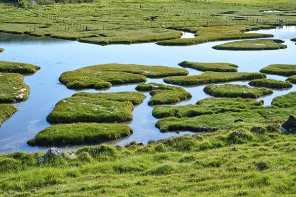Machair
