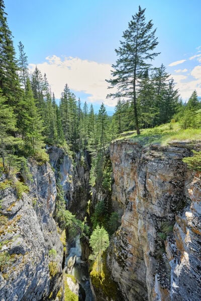 Maligne Canyon