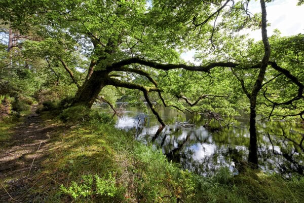 Meeting of the Waters Killarney