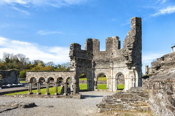 Mellifont Abbey