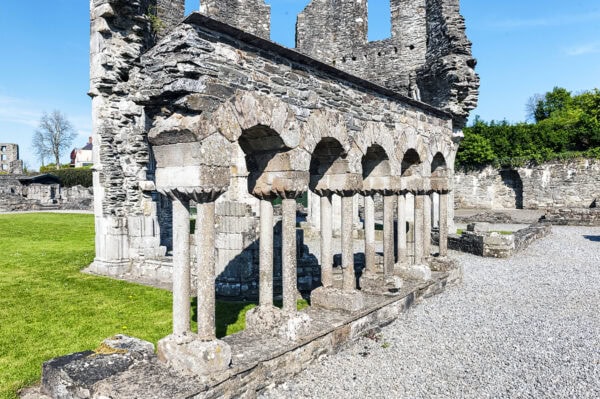Mellifont Abbey