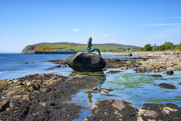 Mermaid of the North