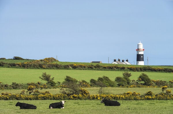 Mine Head Lighthouse