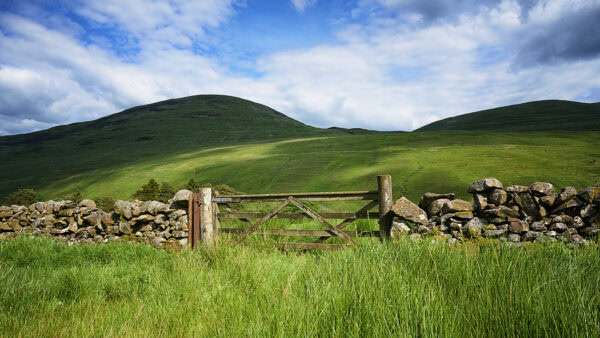 Moffat Water Valley
