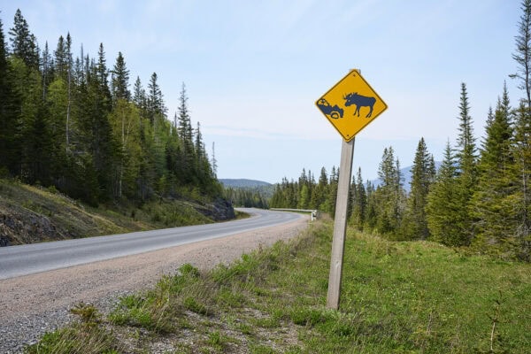 Moose Sign