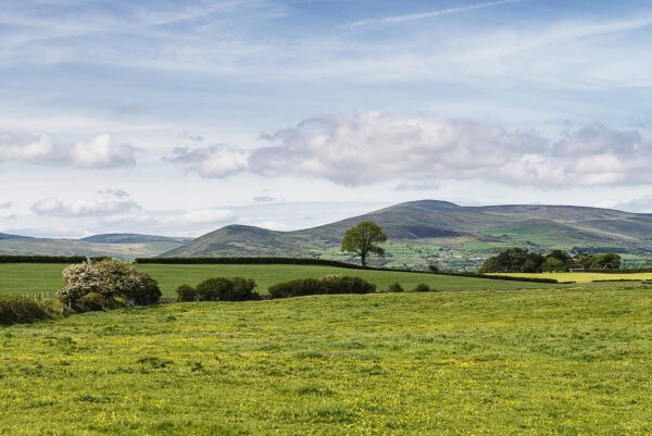 Mourne Mountains
