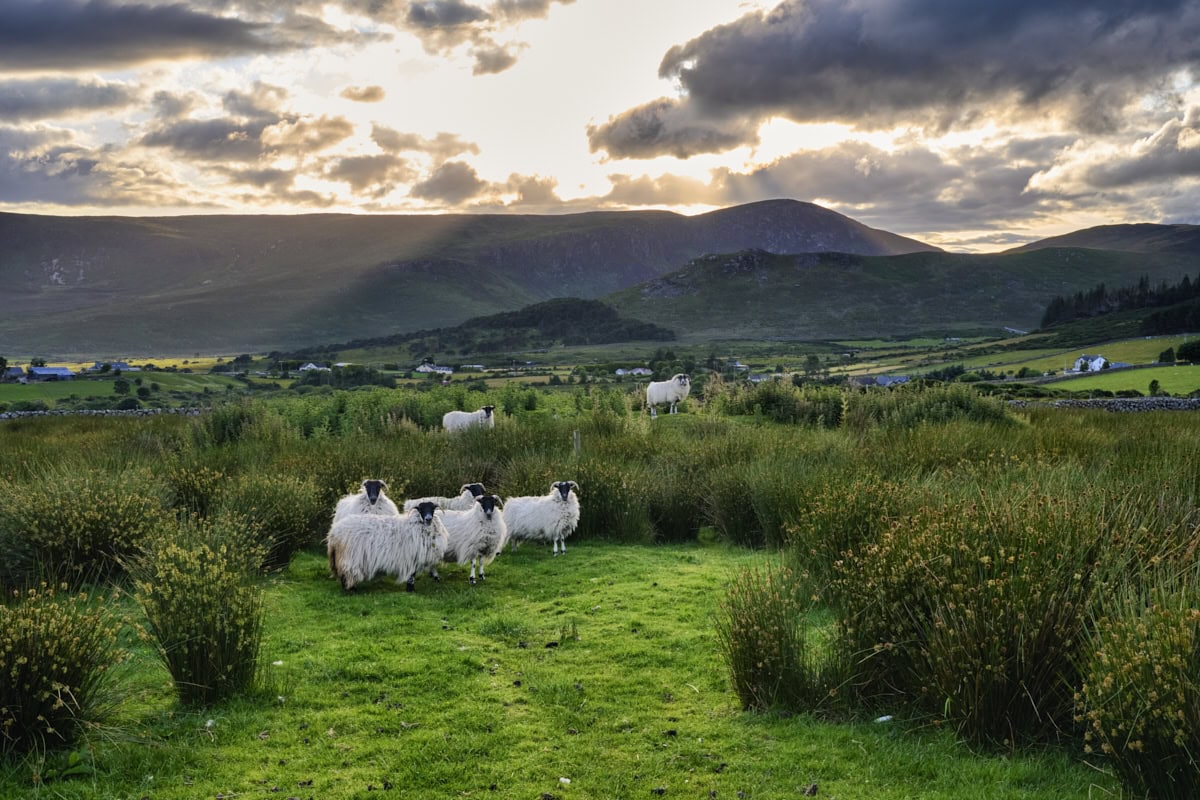 Mourne Mountains, Co. Down, Northern Ireland