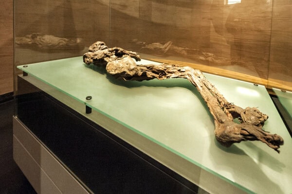 National Museum of Ireland