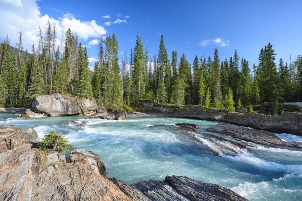 Natural Bridge Lower Falls