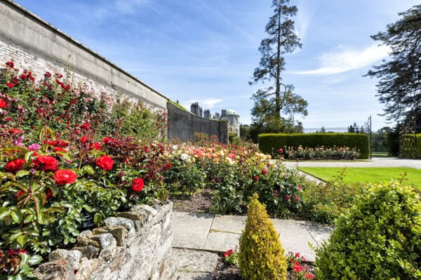 Powerscourt Gardens