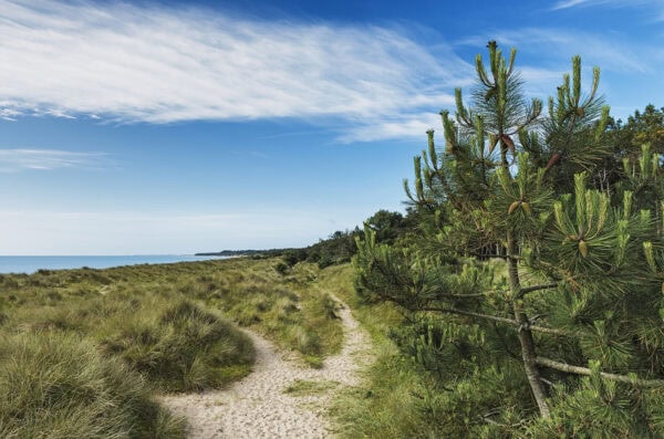 Raven Wood Nature Reserve