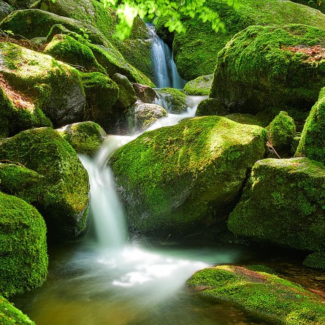 Schwarzwald Fotos