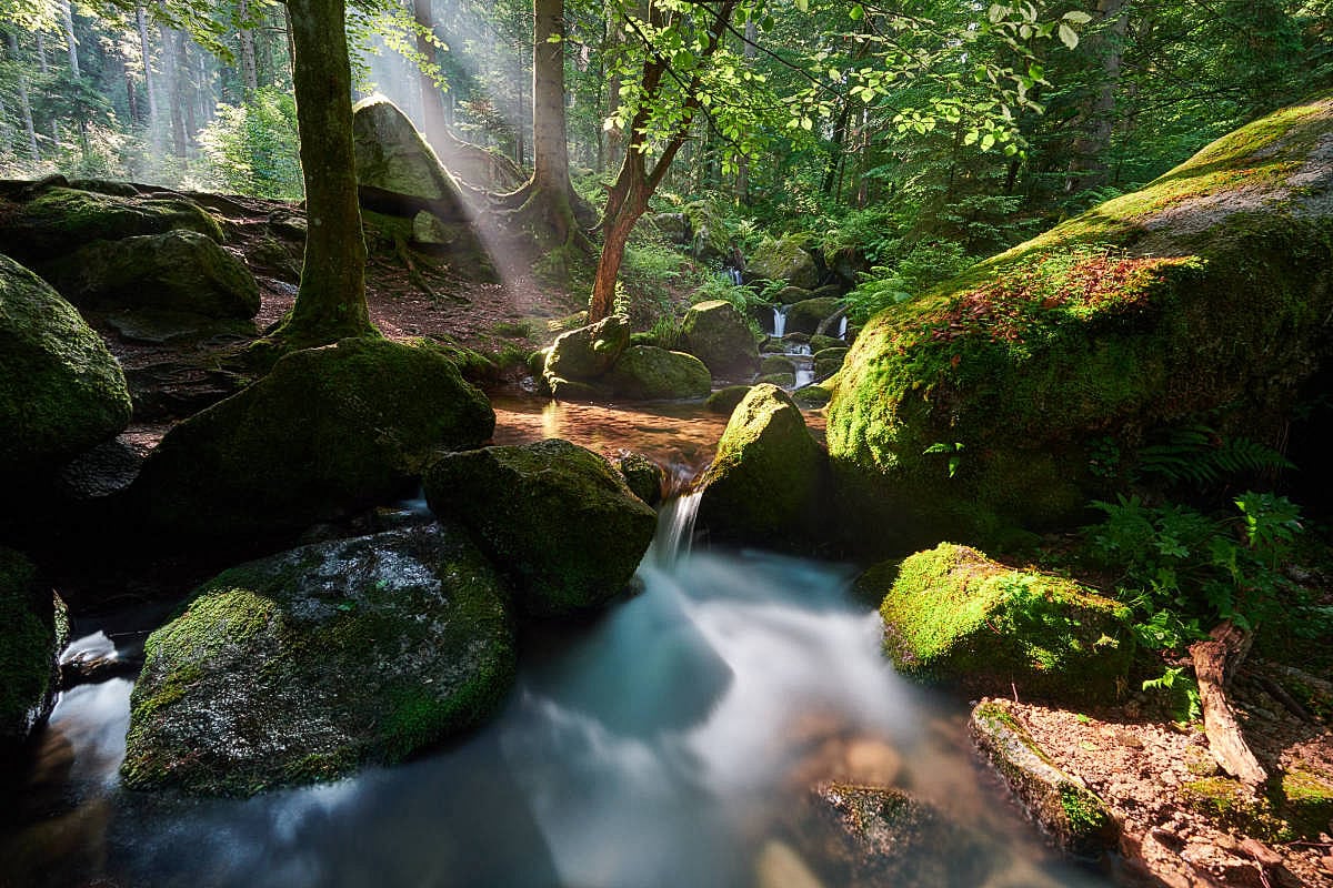 Schwarzwald Fotos