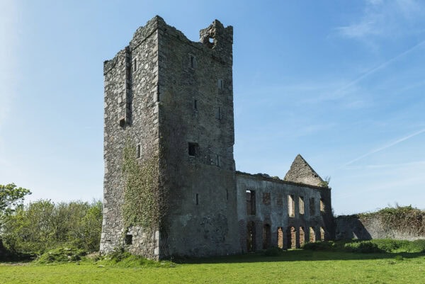 Sigginstown Tower House