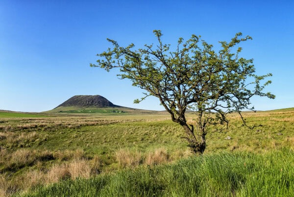 Slemish