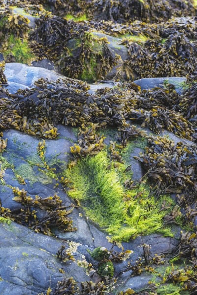 St Patrick’s Footsteps