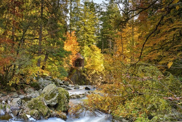The Hermitage and Black Linn Falls near Dunkeld, Perthshire, Scotland