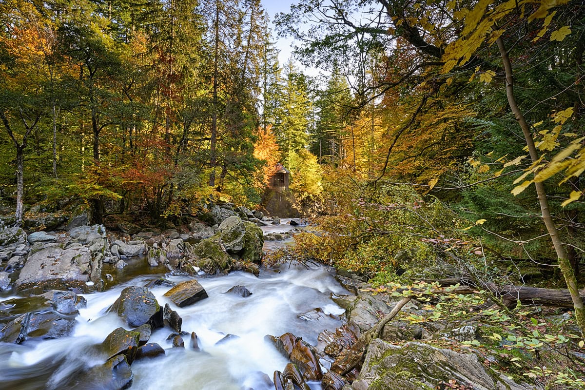 The Hermitage and Black Linn Falls near Dunkeld, Perthshire, Scotland