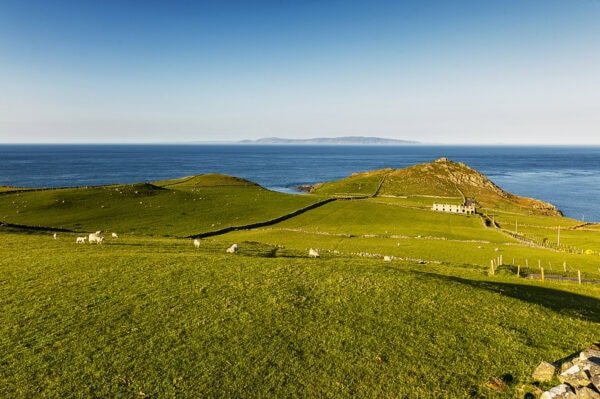 Torr Head
