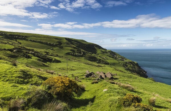 Torr Head Drive