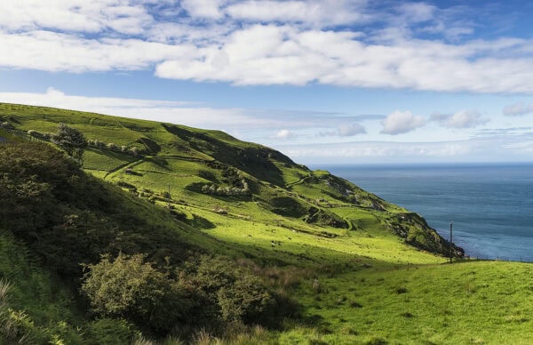 Torr Head Drive