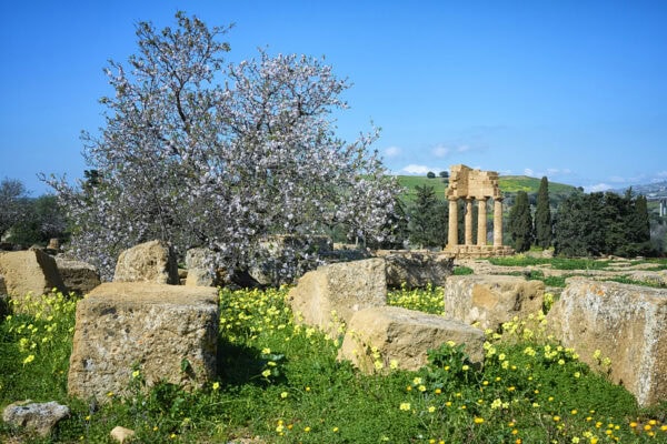 Valle dei Templi