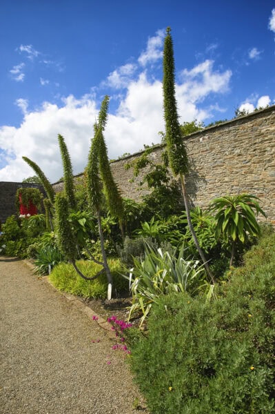 Vandeleur Walled Garden