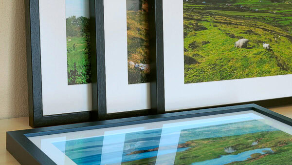 Wall Art Buyer's Guide